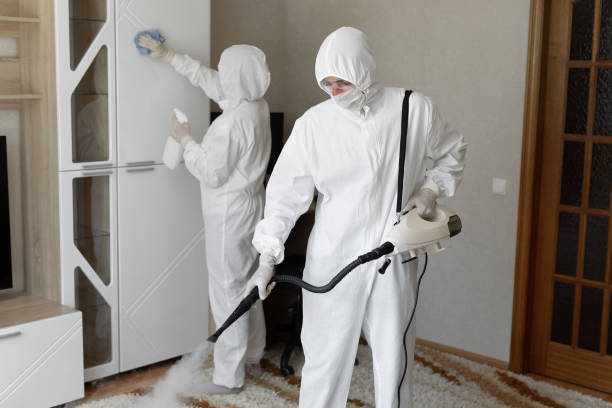 Affordable Infectious Disease Decontamination solutions in Newfield, ME